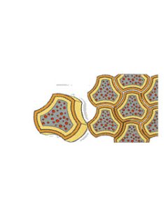 Beton Öntőforma Bikini 4,5 cm